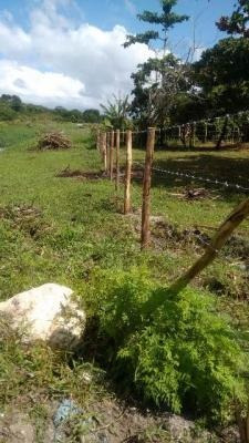 Imagem 5 de 6 de Lote Na Praia Com Escritura E Área De 289m² 5601e