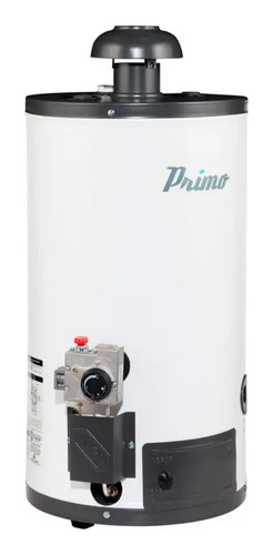 Boiler Iusa Primo 40 Lts Gas