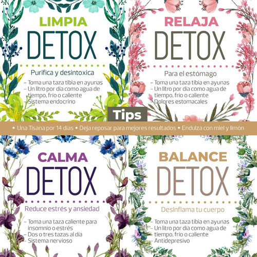 Té Detox Orgánico 3 Pack - 300 Gr