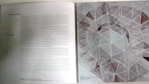 Imagen 3 de 8 de Gego Sobre Papel El Trazo Transparente Catalogo