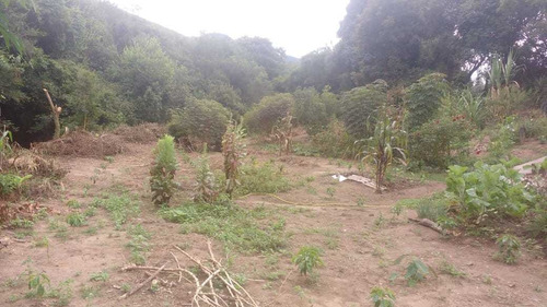 Chácara Carvalhos , Perto Bairro Franceses , Lugar De Muitas Cachoeiras - 456