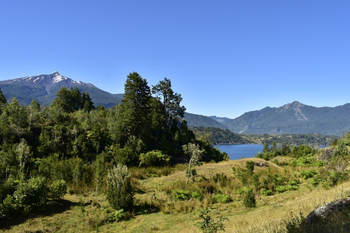 Imagen 9 de 16 de Hermoso Campo 30,32 Hectáreas Orilla De Mar, Cochamo