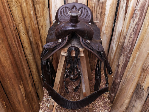 Sela Prova De Laço Profissional Klk Couros Cor Marrom-bordado