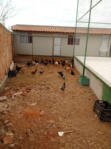 Chácara Para Venda Em Esmeraldas, Comunidade Da Volta - Ch03_1-1019161
