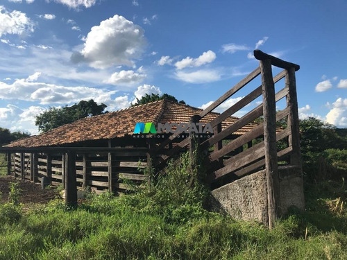 Imagem 8 de 12 de Fazenda - Zona Rural - Ref: 4839 - V-mta4839
