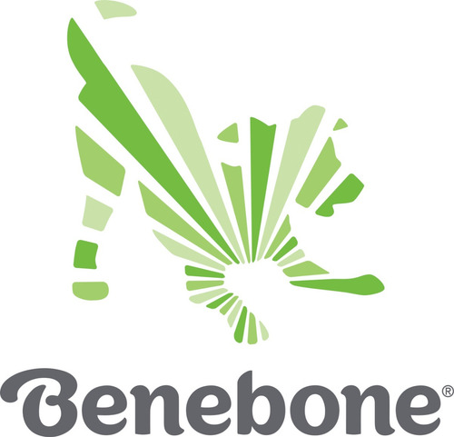 Hueso Masticable Benebone Tripbone Medium Juguete Perro