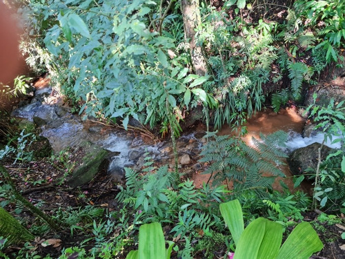 Imagem 14 de 17 de Chácara 3 Quartos Santo Antônio Do Pinhal - Sp - Barreiro - Ch-12302