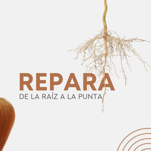 Kit Shampoo Serum Y Spray Brazilian Blowout Sin Sal