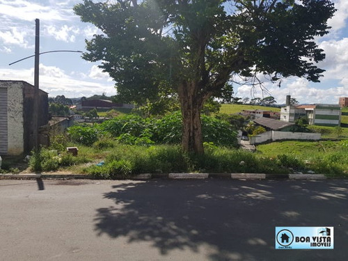 Imagem 2 de 5 de Terreno Em Rua - B0520-v