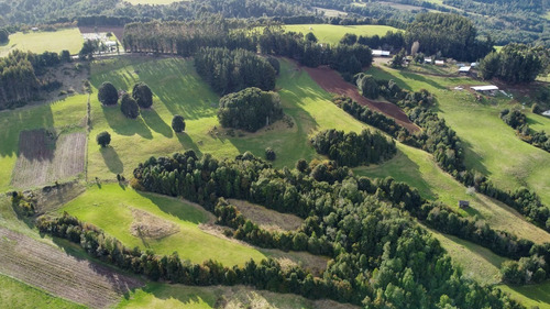 Imagen 6 de 16 de Campito De 7ha Mirador Del Mañio - Los Muermos