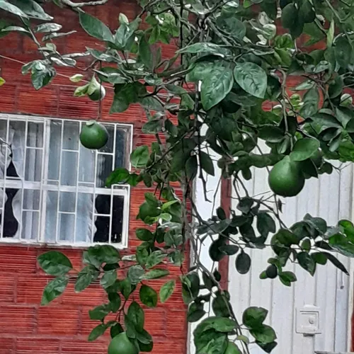 Oferta Hermosa Finca En Anapoima, Aprovechen