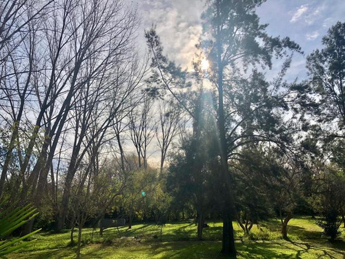 Imagen 30 de 30 de Terreno - Pilar A Mts De Ruta 24 Y 25