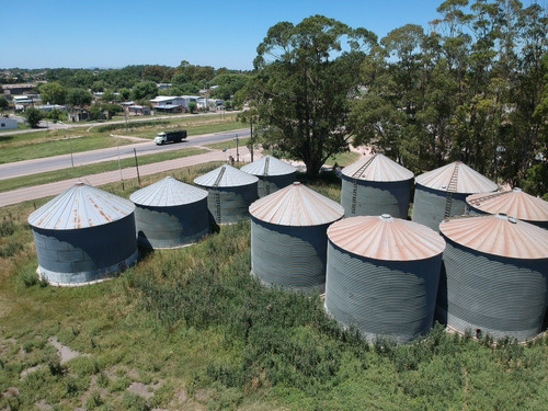 Imagen 10 de 13 de Venta De Planta De Cereales En Benito Juárez.