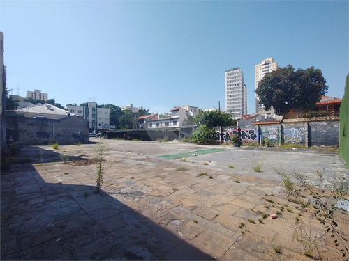 Imagem 3 de 12 de Comercial-são Paulo-mooca | Ref.: Reo650931 - Reo650931