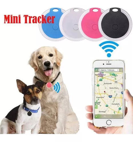 Collar, collar integrado para gatos, collar reflectante GPS para gatos con  soporte y campana, collares ligeros para gatos para gatos, niñas, niños,  gatitos y cachorros JAMW Sencillez