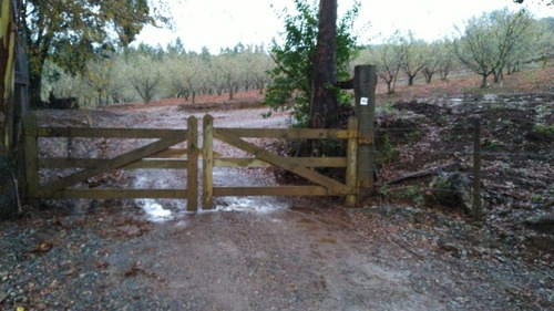 Agrícola En Venta En Gorbea