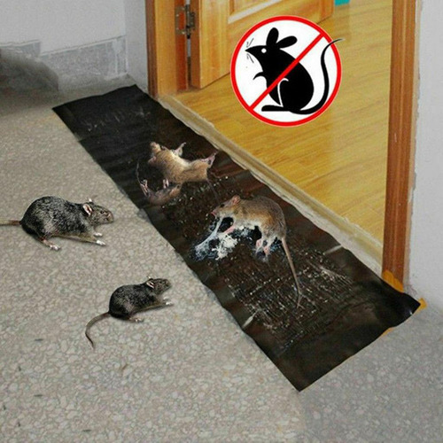 Trampas De Pegamento Para Ratones Pegajosa Ardilla Negro