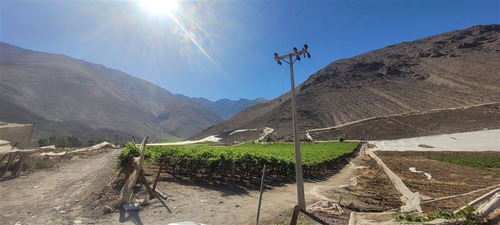 Agrícola En Venta En Vicuña