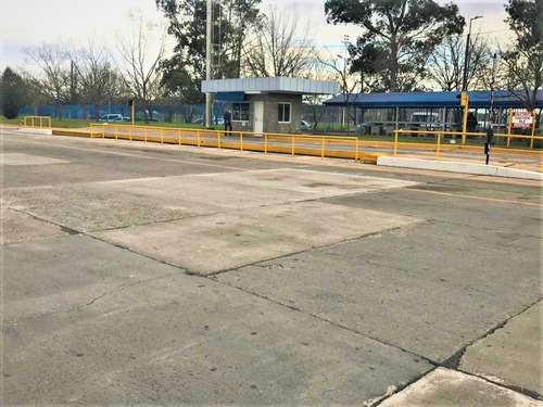 Imagen 18 de 24 de Nave Industriales Disponible De 3.445m2 Sin Expensas