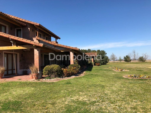 Imagen 22 de 30 de Terreno Campo En Venta En Carmen De Areco, Resto De La Provincia, Buenos Aires