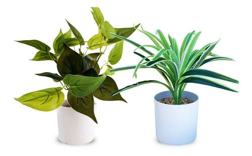 Imagen 1 de 10 de Plantas Artificiales De Escritorio Combo Pack X2