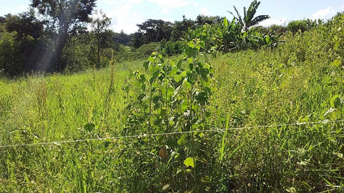 Imagem 7 de 12 de Terreno De Chacará Colina 2 Monte Mor - Vendo Ou Troco