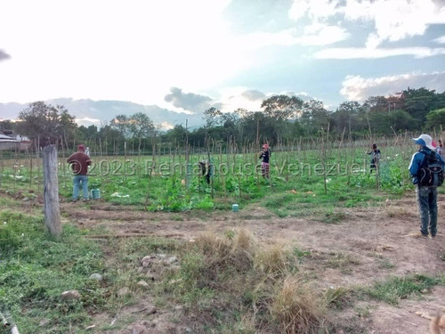 Carlos Colmenarez Vende Fabulosa Finca De 13ha. Con: 2 Lagunas, Agua Por Buco A Gravedad, Posee Electricidad 110 Y 220, Ubicada A Pocos Minutos Del Centro Del Tocuyo Con Acceso Directo De La Autopista