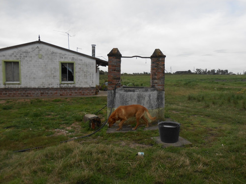 Vendo Chacra De 6 Has Casa, Barbacoa, Cañada Lugar Tranquilo