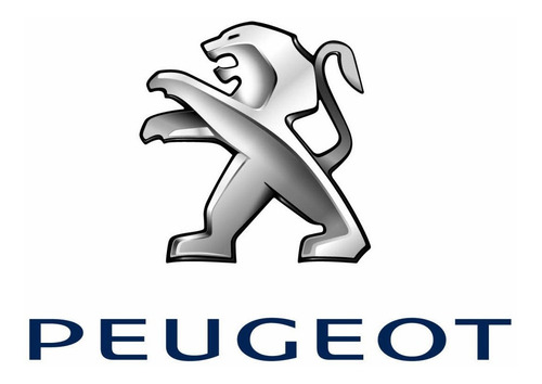 Imagen 3 de 3 de Kit Para Reparacion De Mecanismo Elevavidrio Peugeot 207