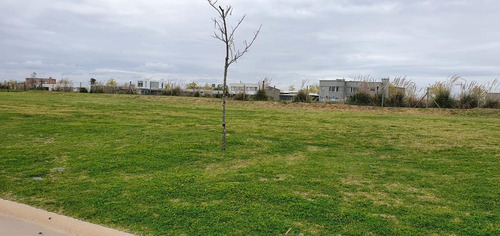 Imagen 2 de 23 de Terreno - Ceibos