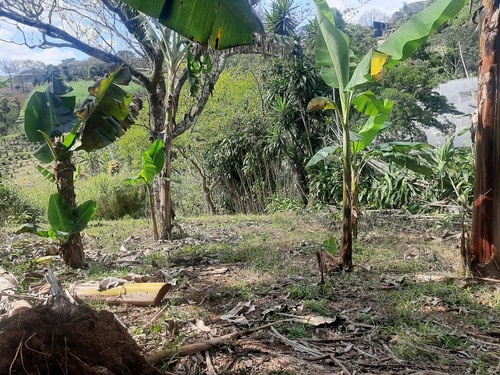 Imagen 11 de 14 de Se Vende Terreno Con 2 Apartamentos