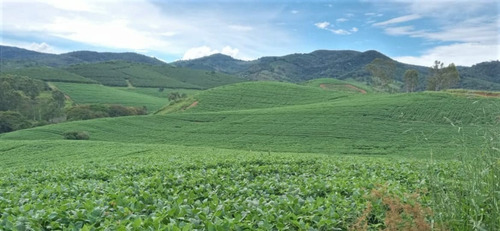Fazenda A Venda No Sul De Minas Com 470 Ha - Bcp93