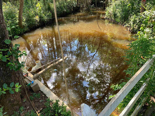 Imagem 5 de 14 de Chacara Em Gonçalves Mg Terreno Com 5.000 Metros