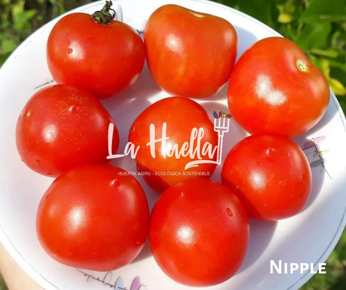 Super Combo Tomates Cherrys Exclusivos Reliquias
