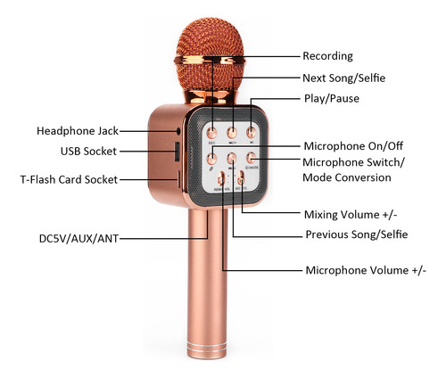 Micrófono Inalámbrico Y Altavoz Portátil De 5 W Para