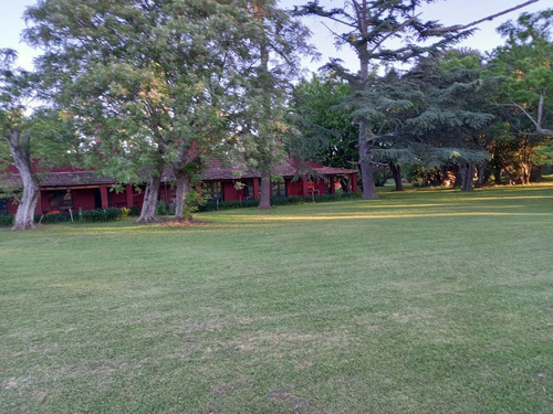 Imagen 7 de 18 de Alquiler Campo San Jose- San Vicente