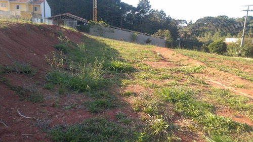 Imagem 6 de 15 de Terreno Para Venda Em Campina Grande Do Sul, Novo Daher - 00283h17_2-1183674