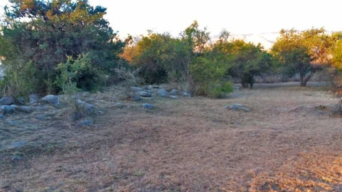 Imagen 4 de 7 de Terrenos O Lotes Venta Merlo