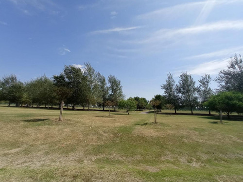 Haras De Funes