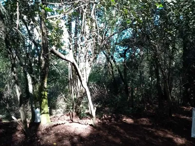 Parcela en venta