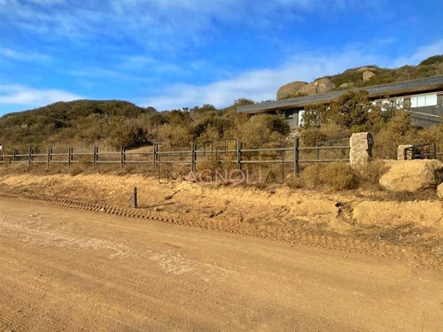 Imagen 4 de 10 de Sitio En Venta En La Ligua