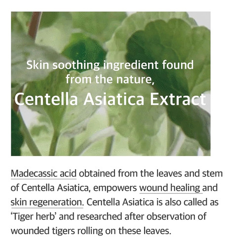 Mezcla De Esencia Soondy Centella Asiática 100 Ml Para Perso