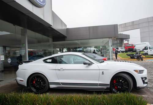 Imagen 6 de 15 de Ford Shelby 2021
