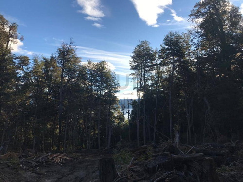 Imagen 15 de 27 de Lote De 3.079m2 En Bº Calfuco A Metros Del Lago Nahuel Huapi, Villa La Angostura