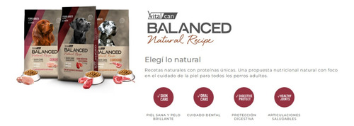 Vitalcan Balanced Perro Adulto Natural Recipe Pollo 15kg