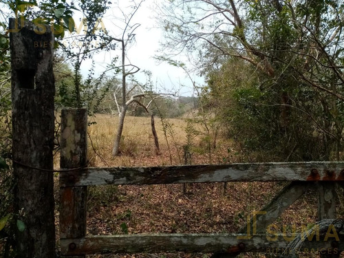 Imagen 5 de 7 de Terreno - Tampico Alto