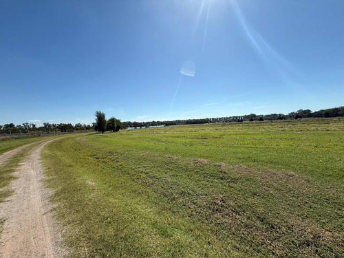 Lote 230 En Venta - Santa Inés Comarcas De Luján