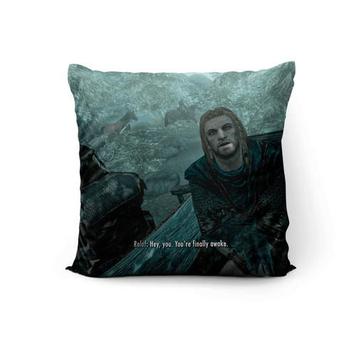 Imagen 1 de 2 de Cojín Skyrim Meme 45x45cm Vudú Love