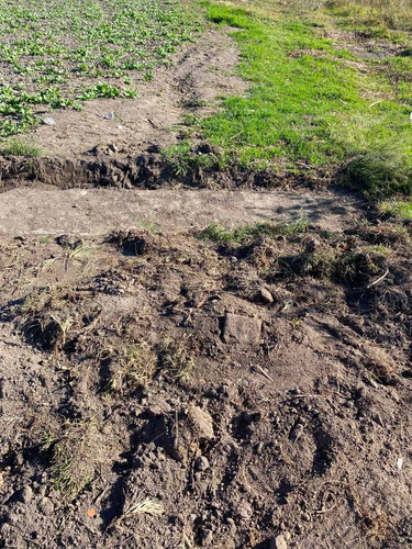 Imagen 6 de 14 de Terreno En Venta En Tonantzintla Para Rancho O Desarrollo.