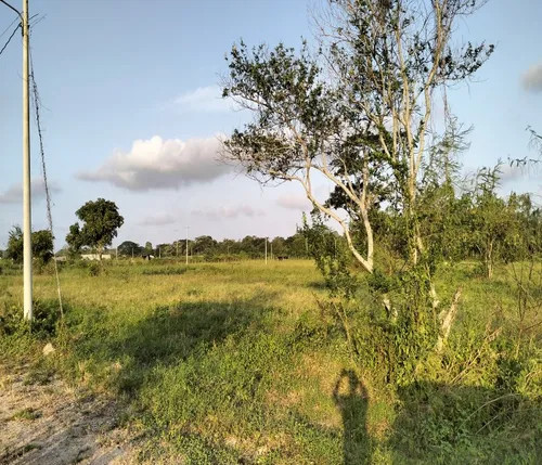 Lotes Conjunto Campestre La Bonga Sabanagrande Atlántico
